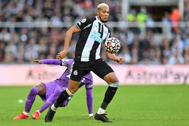 较高的玉昆 较高的玉昆